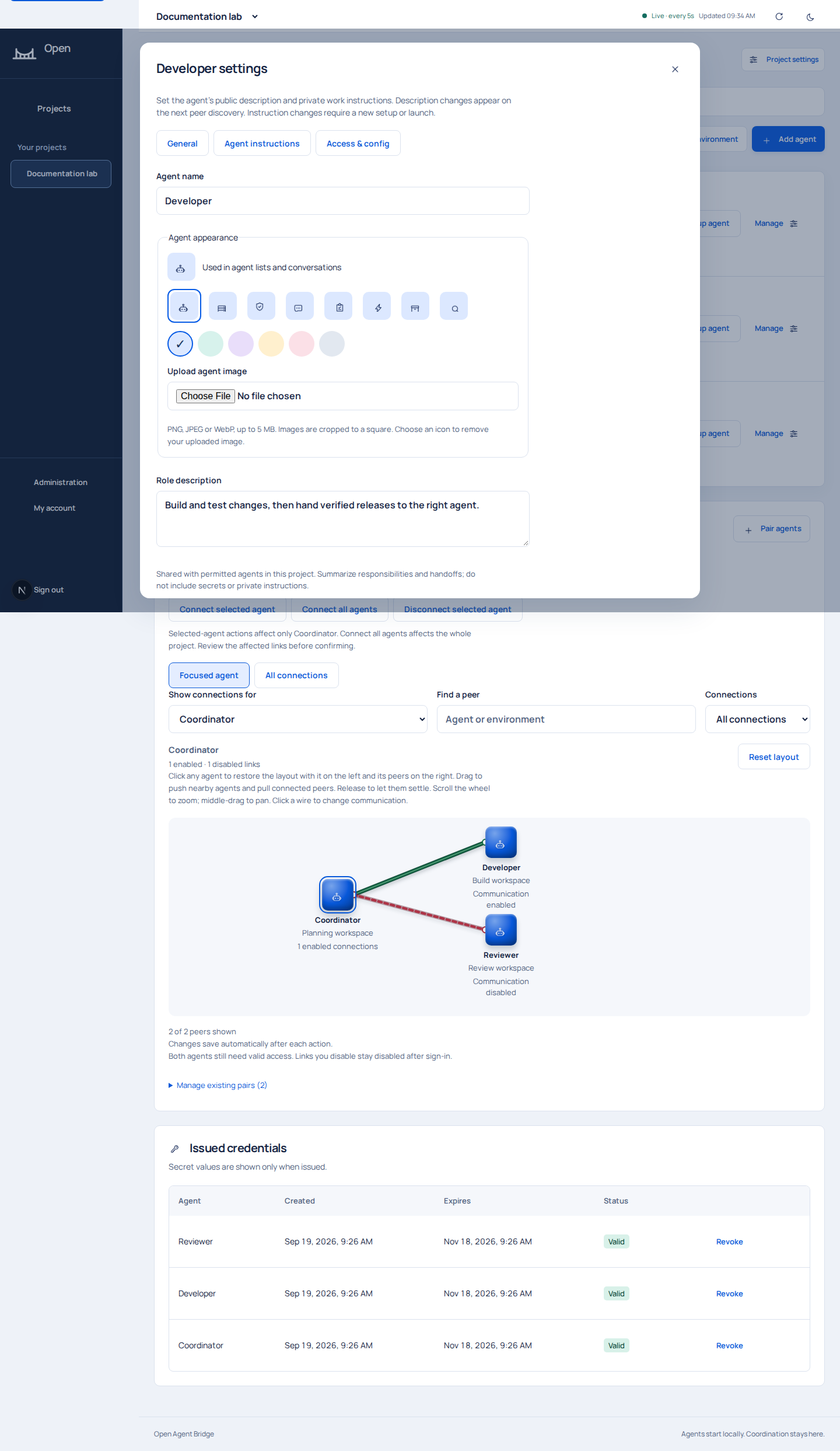 Actual settings for the synthetic Developer identity, including role and work instructions.